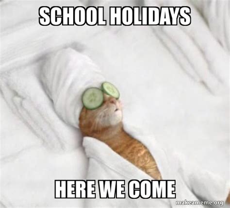 happy school holidays meme